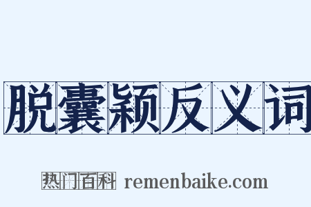 脱囊颖反义词是什么意思的图片